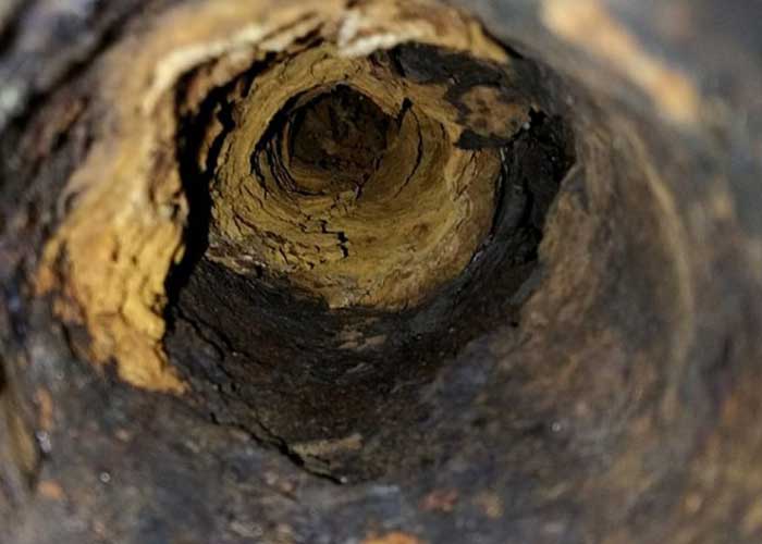 Sewer Scope Sewer Scope